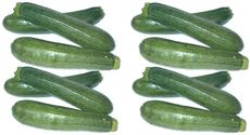Zucchini-2x6.jpg